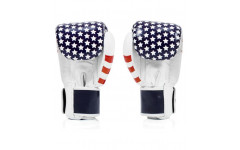 Боксерские перчатки Fairtex BGV1 USA 10 oz