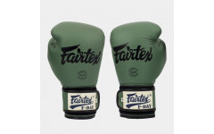 Боксерские перчатки Fairtex BGV11 F-DaY 10 oz