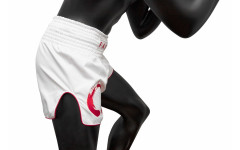 Шорты для бокса Fairtex BS1918 S