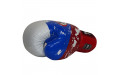 Перчатки боксёрские Twins FBGVL3-44 Russia 14 oz