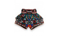 Шорты для бокса Twins Special TBS Aztec L