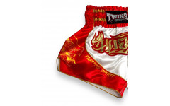 Шорты для бокска Twins Special TBS DRAGON 5- M