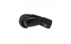 Боксерские перчатки Fairtex BGV27 black 12 oz Боксерские перчатки Fairtex BGV27 black 12 oz
