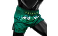 Шорты для бокса Fairtex BS1913 XL