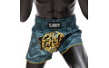 Шорты для бокса Fairtex BS1915 M