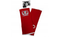 Голеностопы Top King TKANG-01 red M Голеностопы Top King TKANG-01 red M