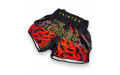 Шорты для бокса Fairtex BS1921 Volcano XL