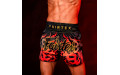 Шорты для бокса Fairtex BS1921 Volcano XL