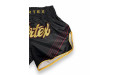Шорты для бокса Fairtex BS1925 Mr.X - S