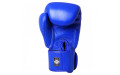Боксерские перчатки Twins Special BGVL3 blue 18 oz